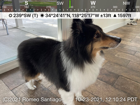 Enlarge photo 21