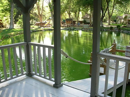 Enlarge photo 5
