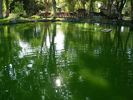 Enlarge photo 7