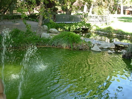 Enlarge photo 6