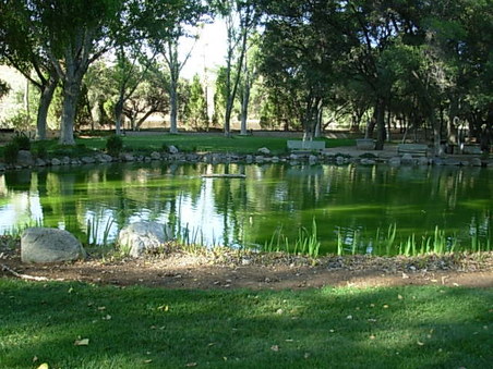 Enlarge photo 3
