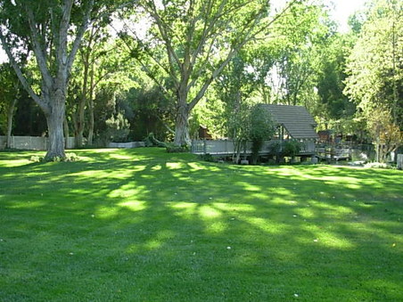 grassy area