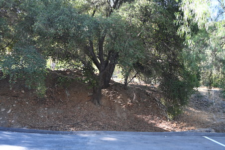 Enlarge photo 60