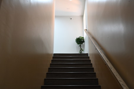 Enlarge photo 33