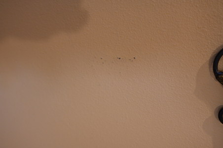 Enlarge photo 66