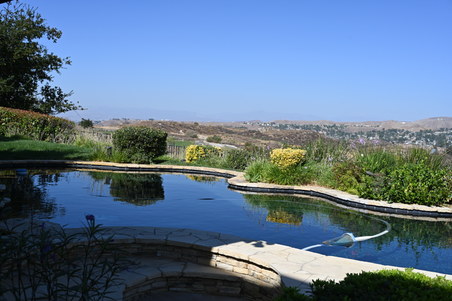 Enlarge photo 13