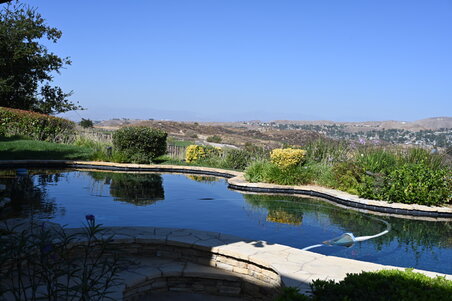 Enlarge photo 23