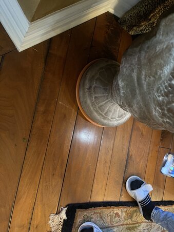 Enlarge photo 12