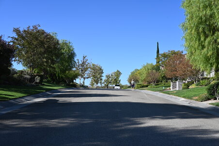 Enlarge photo 77