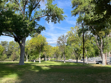 park