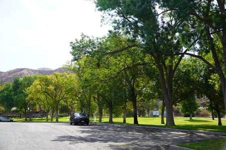 Enlarge photo 12