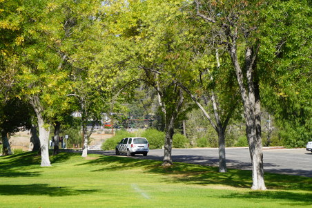 Enlarge photo 6