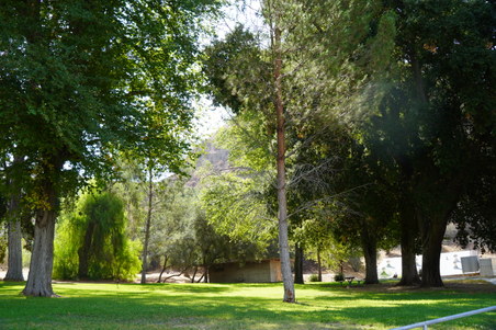 Enlarge photo 47