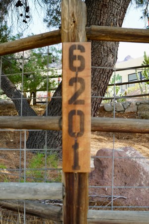 Enlarge photo 8