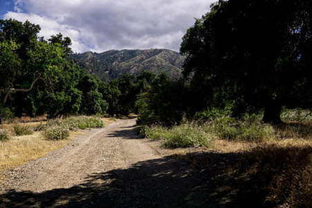 Enlarge photo 18