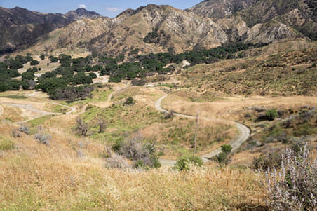 Enlarge photo 15
