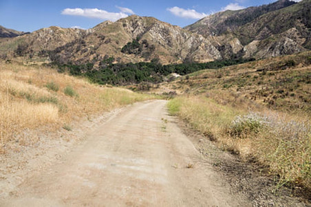 Enlarge photo 14