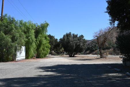 Enlarge photo 31