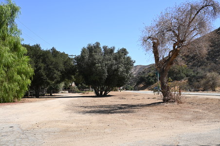 Enlarge photo 30