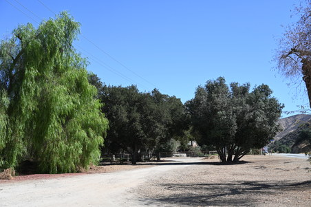 Enlarge photo 29
