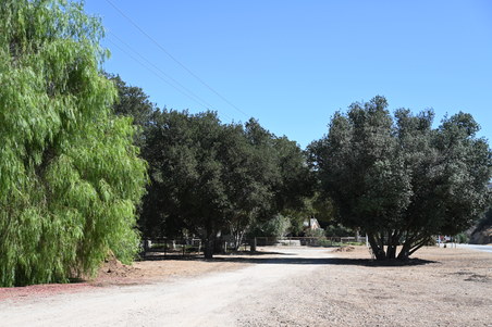 Enlarge photo 27