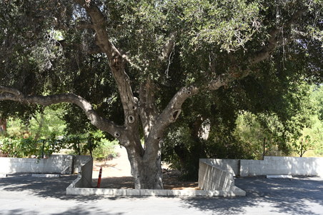 Enlarge photo 4