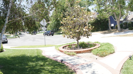 Enlarge photo 5