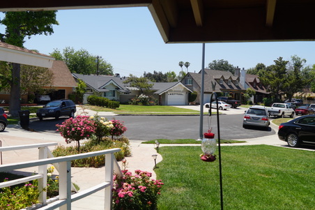 Enlarge photo 5