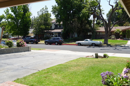 Enlarge photo 5
