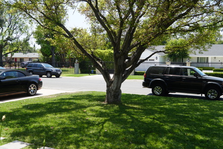 Enlarge photo 2