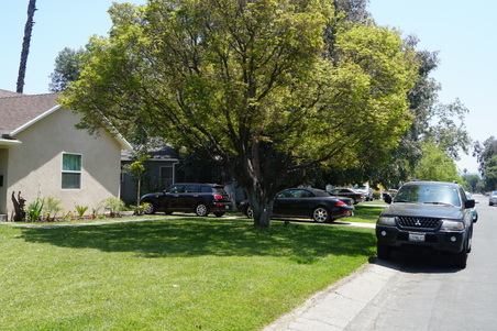 Enlarge photo 9