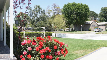 Enlarge photo 6