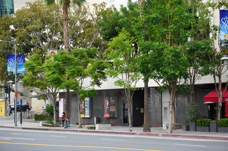 Enlarge photo 5