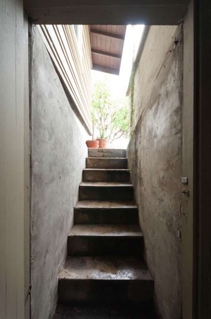 Enlarge photo 53