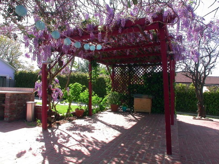 Enlarge photo 37