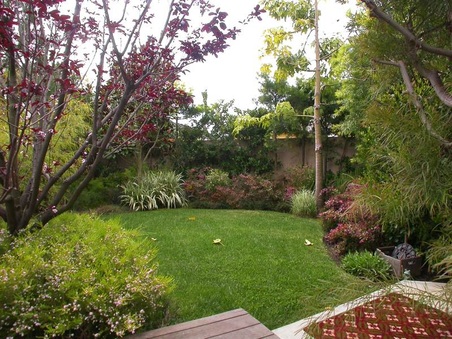Enlarge photo 41