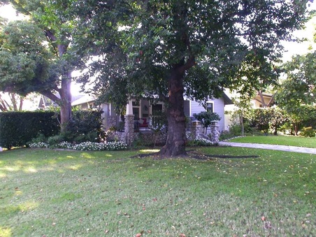 Enlarge photo 3