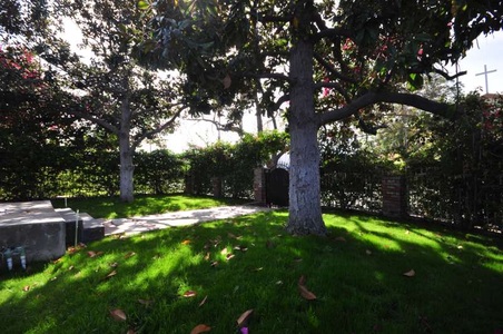 Enlarge photo 10