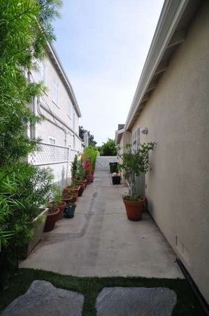 Enlarge photo 67