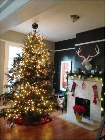 Enlarge photo 7