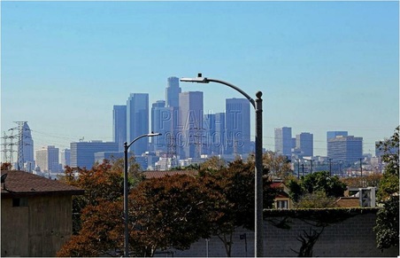 Enlarge photo 37