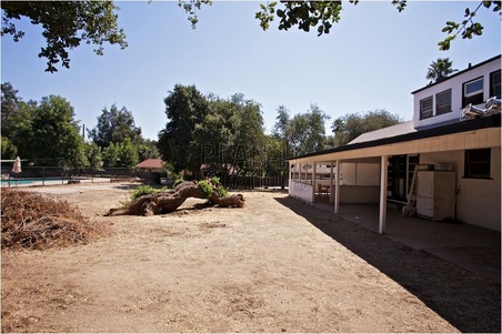 Enlarge photo 50