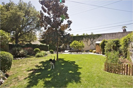 Enlarge photo 57