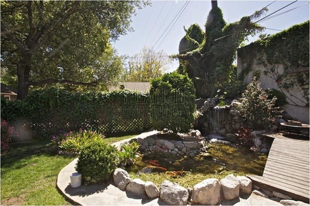 Enlarge photo 65