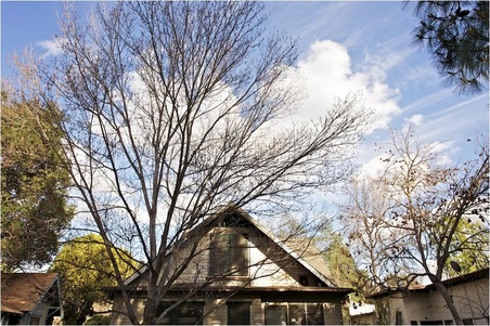 Enlarge photo 37