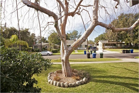 Enlarge photo 3