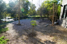Enlarge photo 20