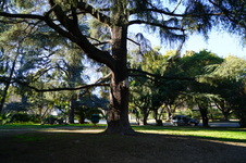 Enlarge photo 29