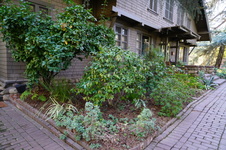 Enlarge photo 30