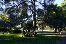 Enlarge photo 32